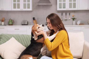 Evdeki kanepede sevimli Beagle köpeği olan mutlu genç bir kadın. Sevimli hayvan