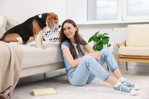 Mujer Joven Feliz Con Lindo Perro Beagle Casa Hermosa Mascota — Foto de Stock