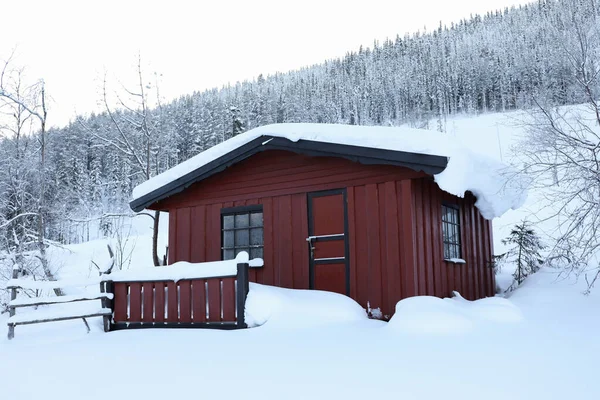 Winter Landscape Wooden House Trees Bushes Snowy Day — Fotografia de Stock