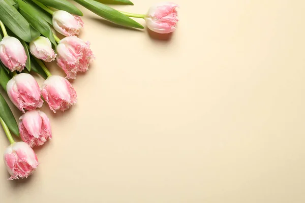 Beautiful colorful tulip flowers on beige background, top view. Space for text