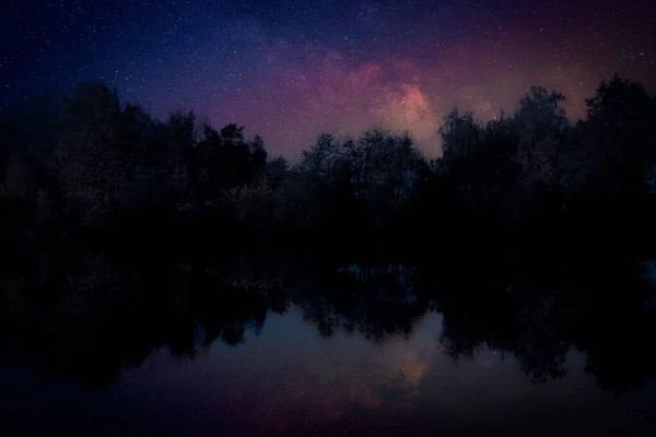 Εκπληκτικός Έναστρος Ουρανός Και Δέντρα Που Αντανακλώνται Στη Λίμνη Νύχτα — Φωτογραφία Αρχείου