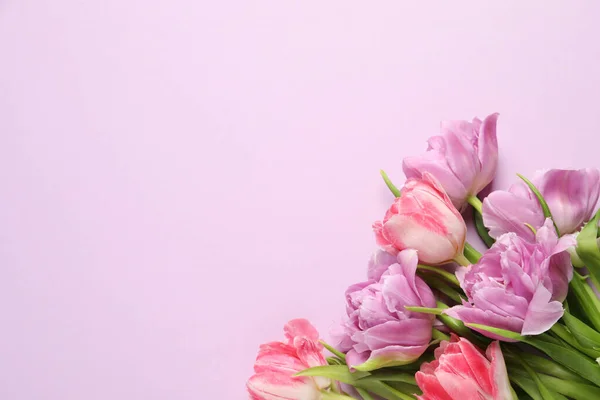 Bellissimi Fiori Tulipano Colorati Sfondo Viola Vista Dall Alto Spazio — Foto Stock
