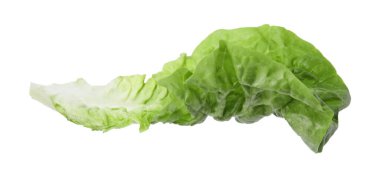 Taze yeşil marul yaprağı beyaza izole edilmiş.