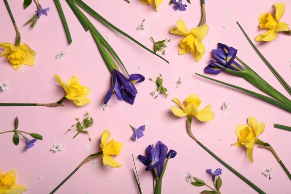 Composición Laica Plana Hermosos Narcisos Amarillos Flores Iris Azul Sobre — Foto de Stock