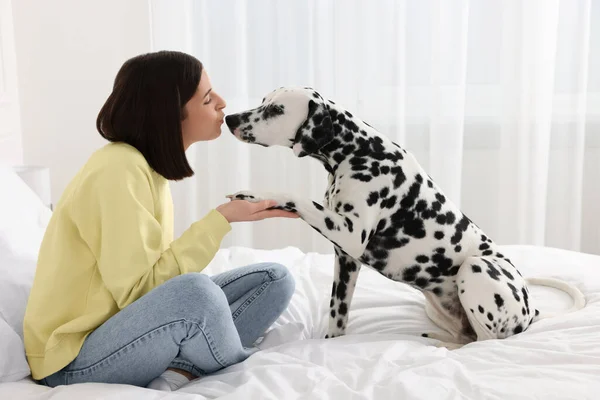 Schattige Dalmatische Hond Geeft Poot Aan Gelukkige Vrouw Bed Thuis — Stockfoto
