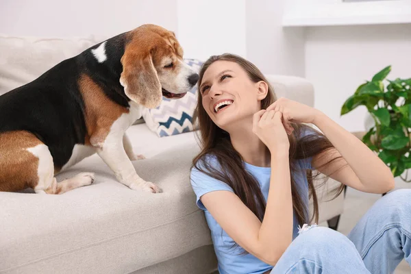 Jovem Feliz Com Seu Cão Beagle Bonito Casa Bonito Animal — Fotografia de Stock