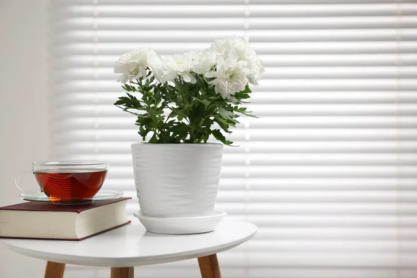 Красивая Хризантема Цветочном Горшке Чашка Чая Книга Белом Столе Помещении — стоковое фото