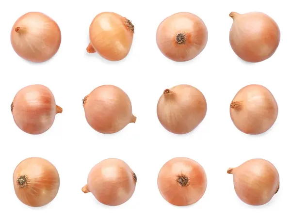 Collage Mit Frischen Ungeschälten Zwiebeln Auf Weißem Hintergrund — Stockfoto