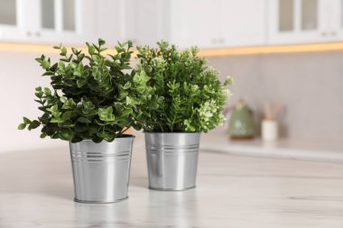 Mutfaktaki beyaz mermer masada yapay saksı bitkileri, metin için yer. Ev dekoru