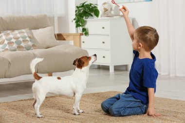 Küçük çocuk evde sevimli köpeğiyle oynuyor. Sevimli hayvan.