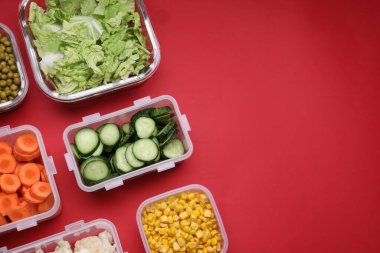 Kırmızı zemin üzerinde farklı taze ürünler bulunan plastik ve cam kaplar düz. Metin için boşluk