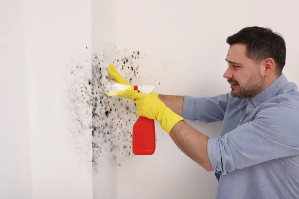 Человек Резиновых Перчатках Распыляет Жидкость Снятия Плесени Стены Комнате — стоковое фото