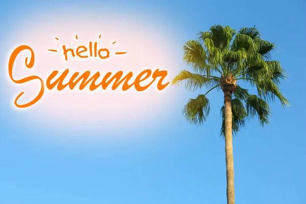 Hallo Summer Prachtige Palmboom Tegen Blauwe Lucht Buiten — Stockfoto