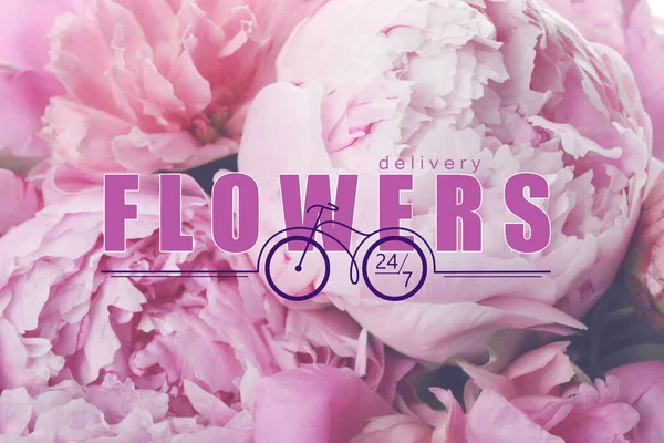 Flowers delivery 24/7 service. Beautiful pink peonies and illustration of bicycle
