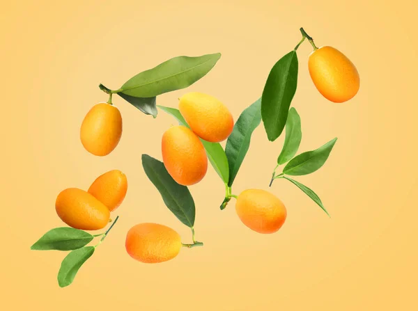 Delicious Fresh Kumquats Green Leaves Falling Beige Background — Stock Photo, Image