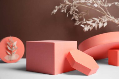 Geometrik şekiller ve kuru yapraklar beyaz masada. Ürün için stil sunumu