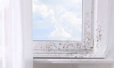 Pencere, pencere pervazı ve eğimi odadaki küften etkilenmiş.