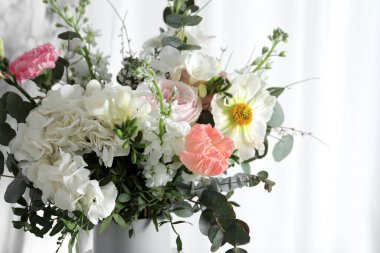 Beyaz arka planda güzel çiçekler, yakın plan.