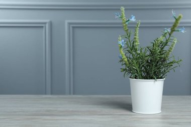 Gri duvarın yanındaki beyaz ahşap masada çiçek saksısında güzel yapay bitki, yazı için yer var.