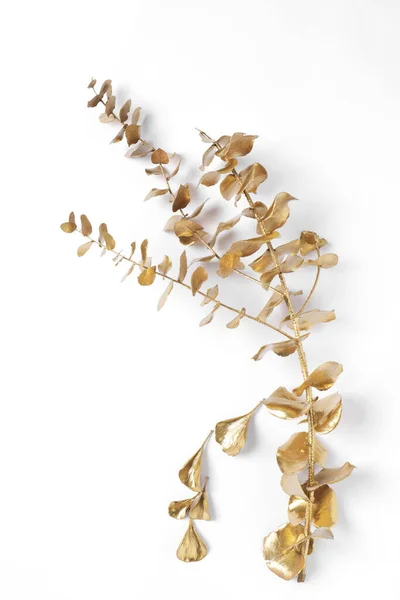Beyaz Arka Planda Yaprakları Olan Parlak Altın Bir Dal Dekor — Stok fotoğraf