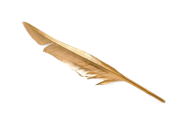 Λαμπερό Κομψό Χρυσό Φτερό Λευκό Φόντο Πάνω Όψη — Φωτογραφία Αρχείου