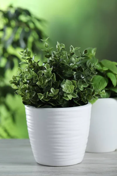 Différentes Herbes Artificielles Pot Sur Table Bois Blanc Extérieur — Photo