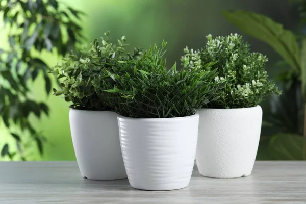 Beda Buatan Pot Herbal Meja Kayu Putih Luar Ruangan — Stok Foto
