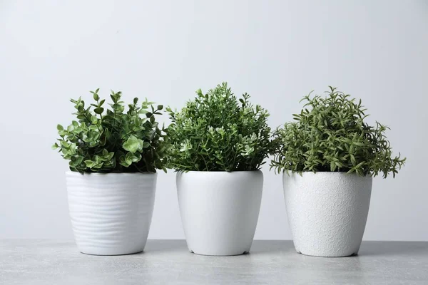 Différentes Herbes Artificielles Pot Sur Table Gris Clair — Photo