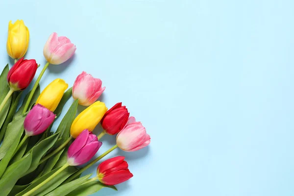Hermosos Tulipanes Colores Sobre Fondo Azul Claro Posición Plana Espacio — Foto de Stock