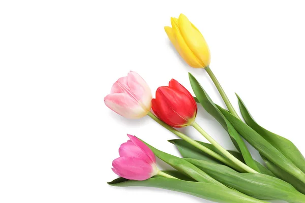 Красивые Красочные Тюльпаны Белом Фоне Вид Сверху — стоковое фото