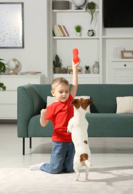 Küçük çocuk evde sevimli köpeğiyle oynuyor. Sevimli hayvan.