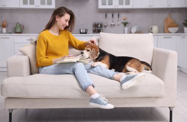 Mutlu genç bir kadın evdeki kanepede sevimli Beagle köpeğinin yanında kitap okuyor. Sevimli hayvan