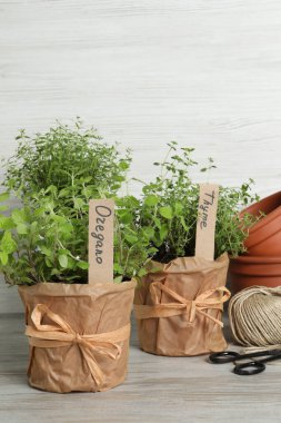 Farklı aromatik saksı bitkileri ve açık ahşap masa üzerinde bahçe aletleri.