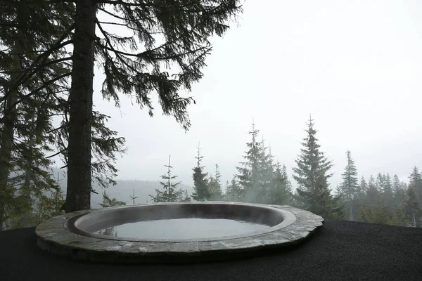 冬日里美丽的针叶林浴盆 — 图库照片