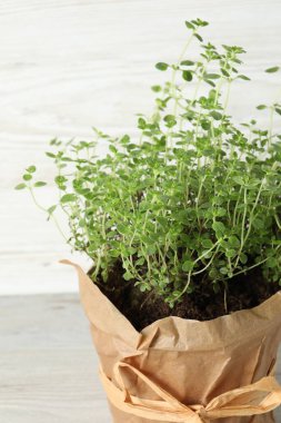 Aromatik yeşil kekik, açık ahşap masada, yakın plan.