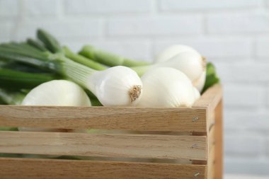 Yeşil taze soğanlı sandık, yakın çekim manzaralı.