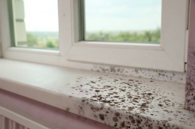 Pencere, pencere pervazı ve eğimi odadaki küften etkilenmiş.