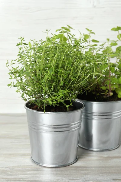 Stock image Different aromatic potted herbs on light wooden table