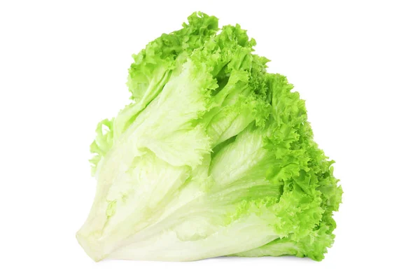 新鲜生菜在白色上被分离出来 沙律蔬菜 — 图库照片