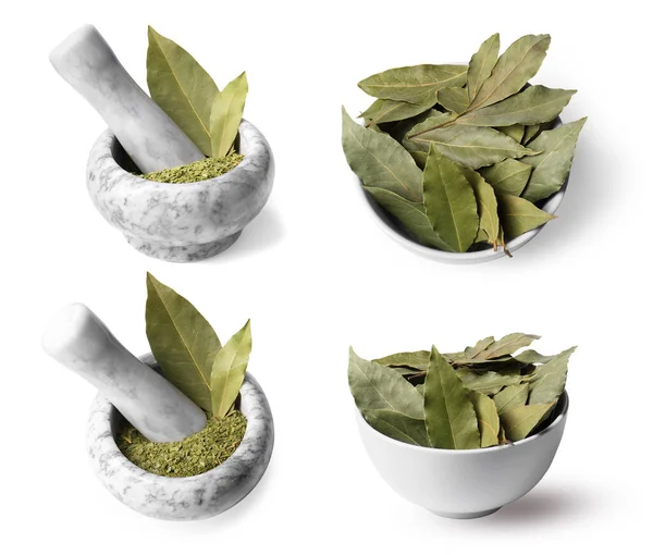 Collage Dry Bay Leaves White Background — Stock Photo, Image