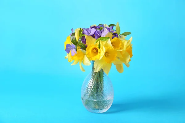 Ramillete Hermosos Narcisos Amarillos Iris Flores Perifollo Jarrón Sobre Fondo — Foto de Stock