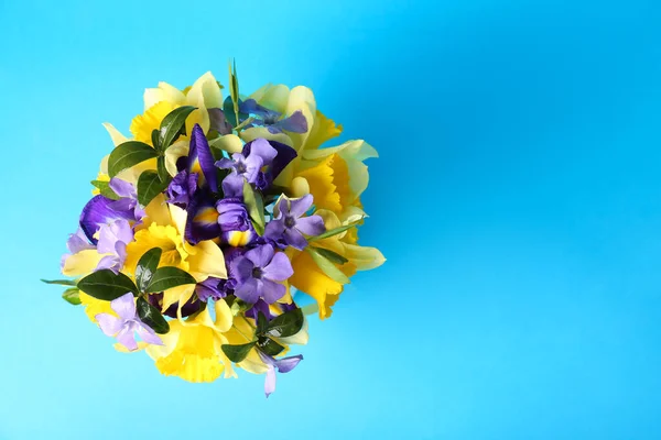 Ramillete Hermosos Narcisos Amarillos Flores Iris Periwinkle Sobre Fondo Azul — Foto de Stock