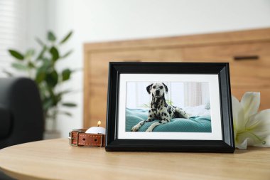 Hayvan cenazesi. İçinde köpek, tasma, yanan mum ve ahşap masa üzerinde zambak çiçeği olan çerçeve.