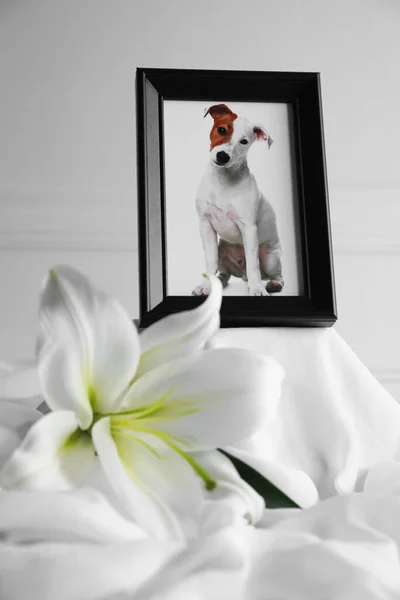 Frame with picture of dog and lily flower on white cloth, closeup. Pet funeral