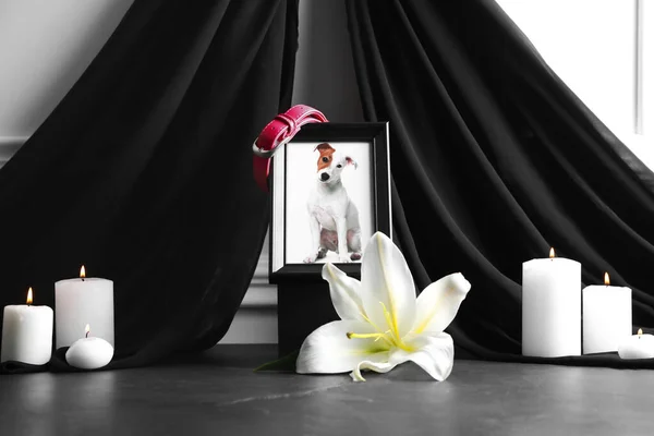 Рамка Зображенням Собаки Коміра Палаючих Свічок Квітки Лілії Сірому Столі — стокове фото