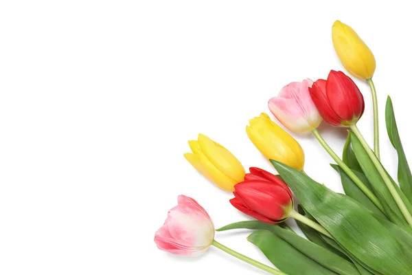 Hermosos Tulipanes Coloridos Sobre Fondo Blanco Vista Superior —  Fotos de Stock