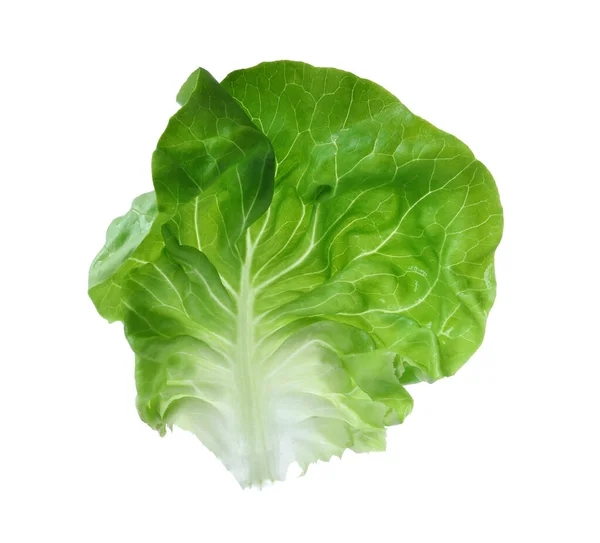 Friss Zöld Vaj Saláta Levél Izolált Fehér — Stock Fotó