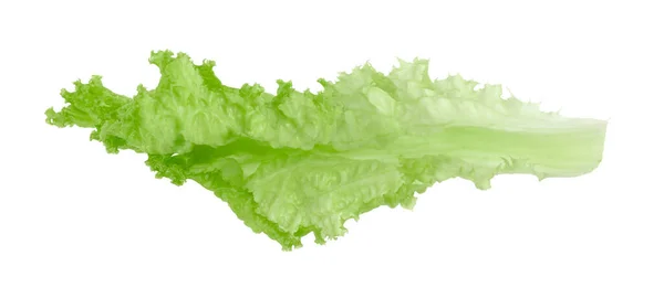 stock image One green lettuce leaf isolated on white. Salad greens