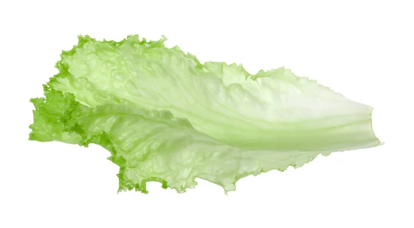 Jeden Zelený List Salátu Izolovaný Bílém Zelené Saláty — Stock fotografie
