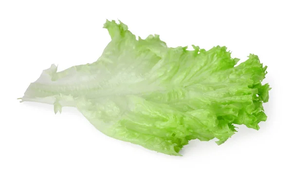Φύλλο Φρέσκου Μαρουλιού Απομονωμένο Λευκό Λαχανικά Σαλάτας — Φωτογραφία Αρχείου
